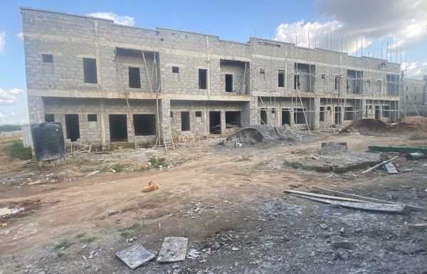 Carcass Building